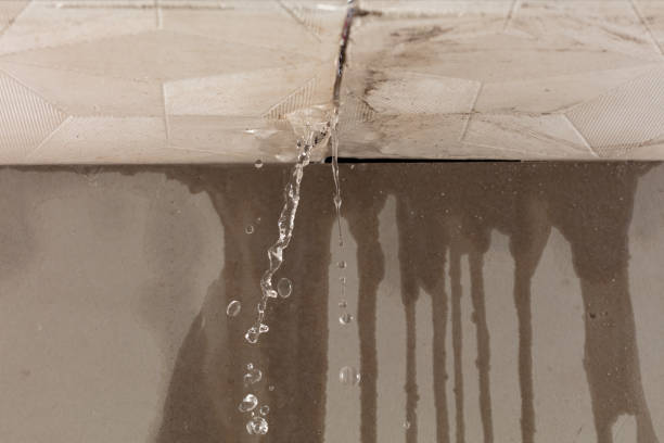 Professional Structural Drying technician working in Cactus, TX